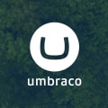 Can Umbraco Digital Agency Create Custom Websites?