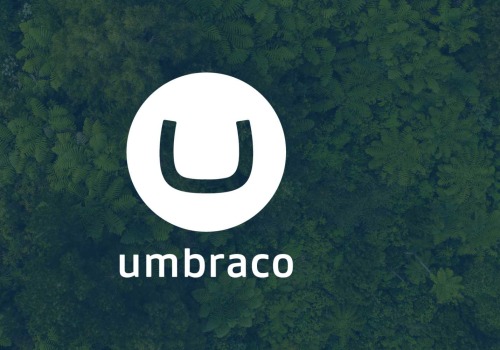 Can Umbraco Digital Agency Create Custom Websites?